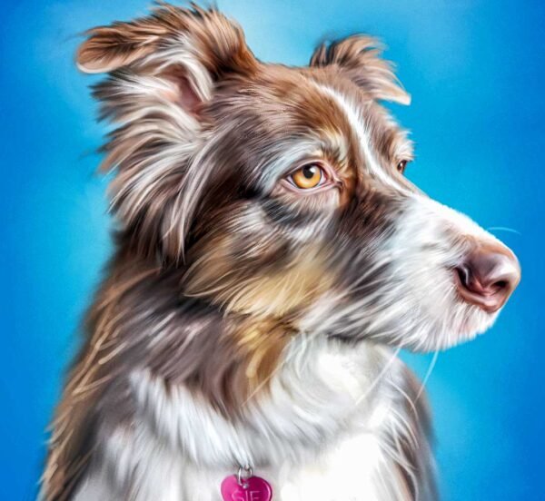 Pet Portrait